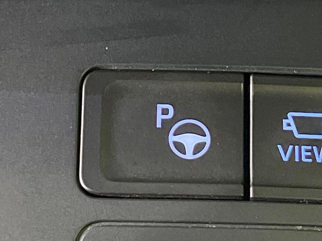 ヴォクシー（新潟県長岡市）