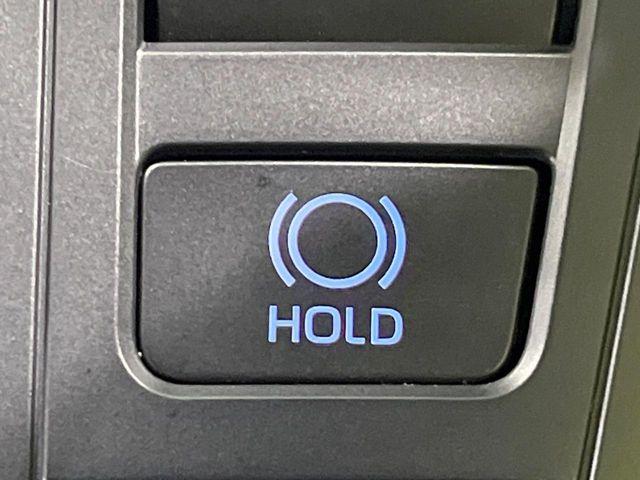 ヴォクシー（新潟県長岡市）