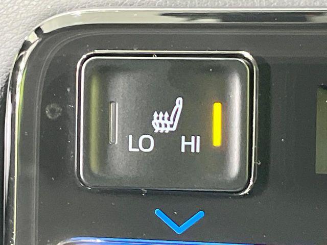 ヴォクシー（新潟県長岡市）