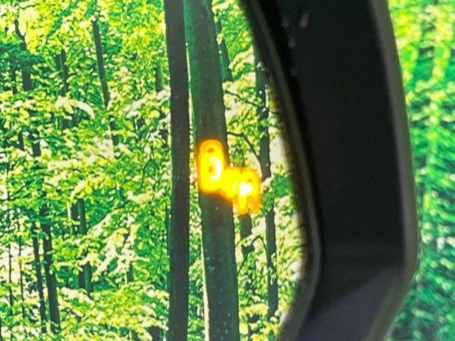 ヴォクシー（新潟県長岡市）