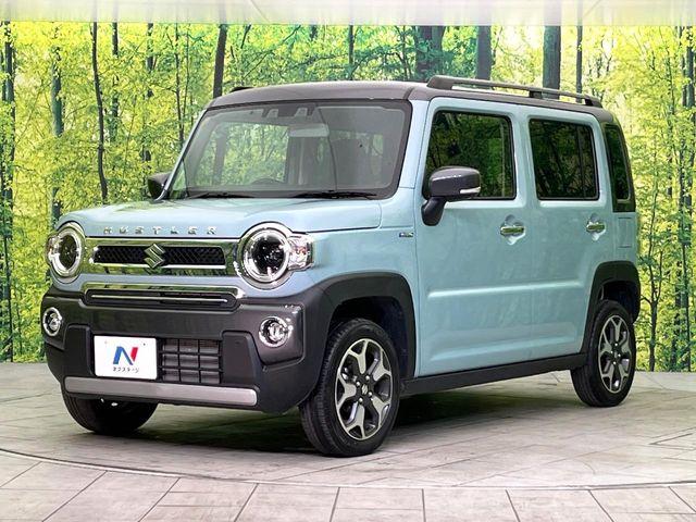 ハスラー(新潟県新潟市東区)