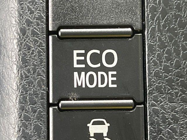 ヴォクシー（新潟県長岡市）