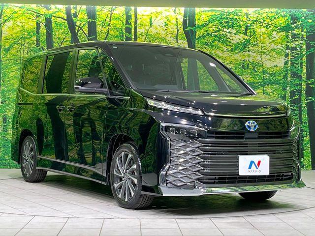 ヴォクシー（新潟県長岡市）