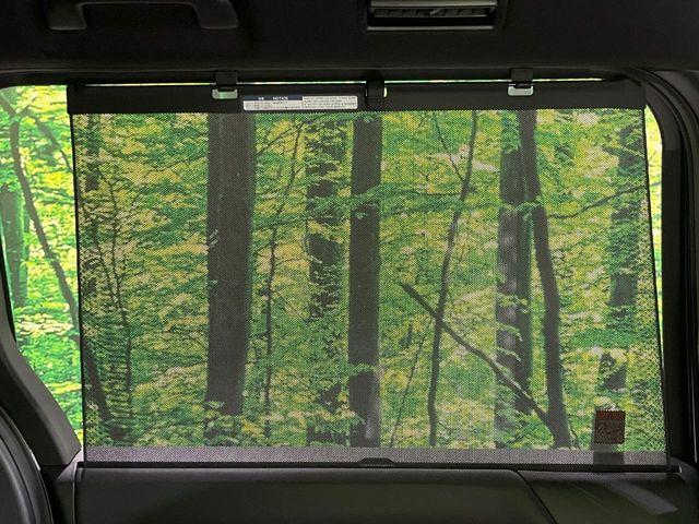 ヴォクシー（新潟県長岡市）