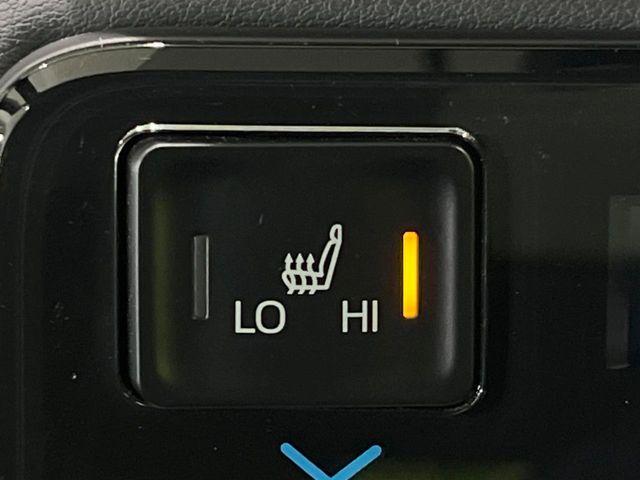 ヴォクシー（新潟県長岡市）