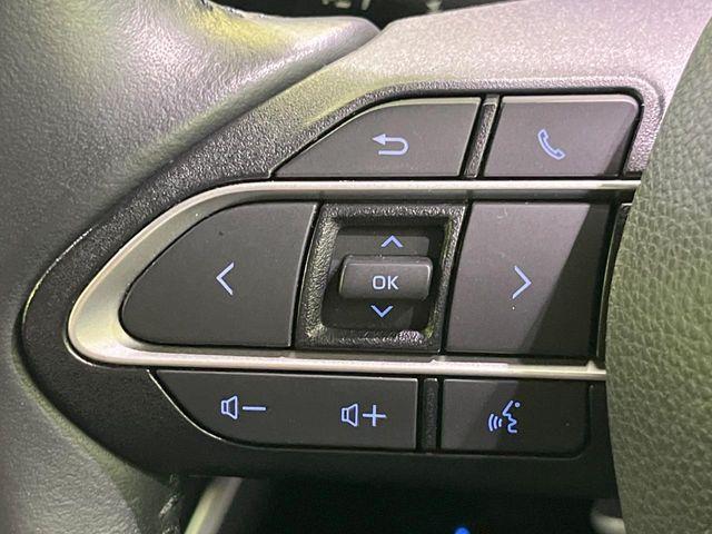 ヴォクシー（新潟県長岡市）