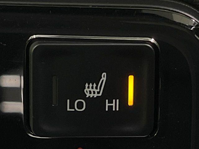 ヴォクシー（新潟県長岡市）