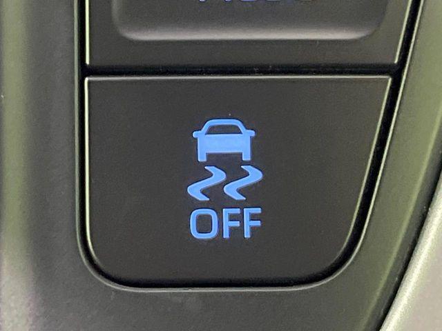 ヴォクシー（新潟県長岡市）