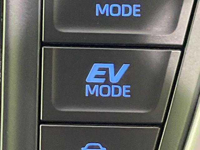 ヴォクシー（新潟県長岡市）