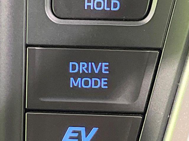 ヴォクシー（新潟県長岡市）