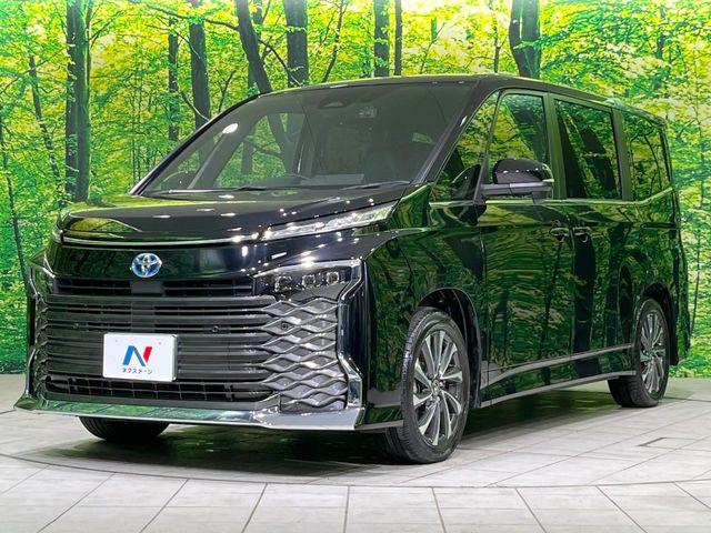 ヴォクシー（新潟県長岡市）