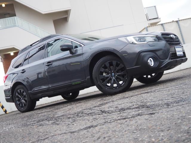 アウトバック（新潟県新潟市西区）画像26