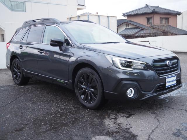 アウトバック（新潟県新潟市西区）画像27