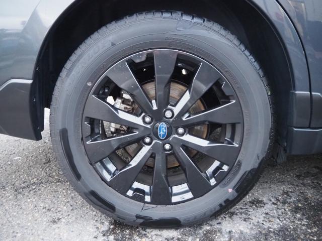 アウトバック（新潟県新潟市西区）画像47