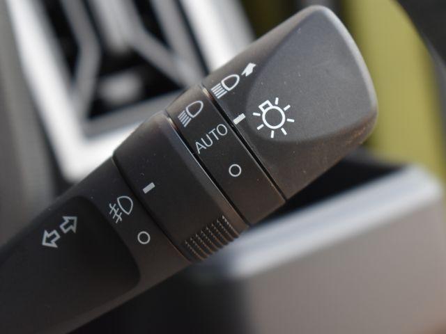 タフト（新潟県上越市）