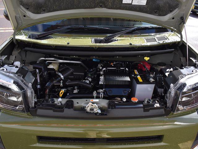 タフト（新潟県上越市）