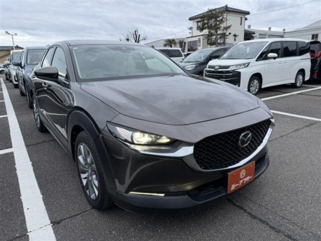 ＣＸ－３０（新潟県新潟市東区）