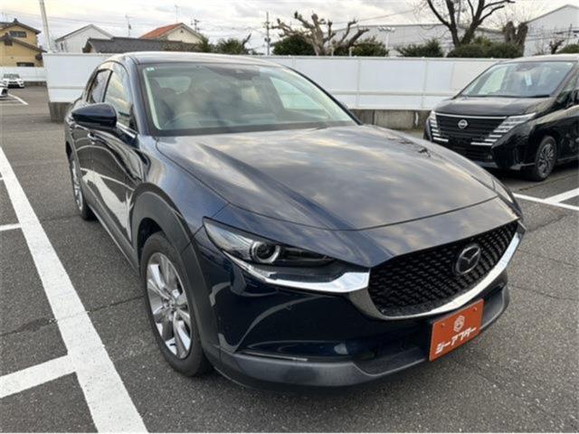 ＣＸ－３０（新潟県新潟市東区）