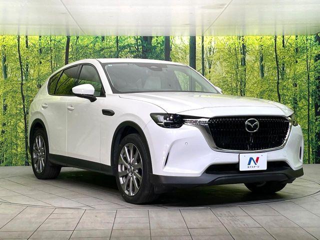 CX-60（新潟県新潟市東区）画像16