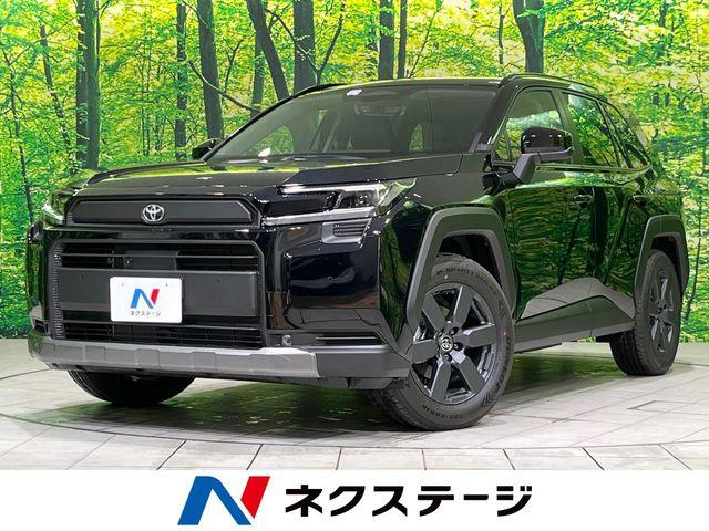 ＲＡＶ４（新潟県長岡市）