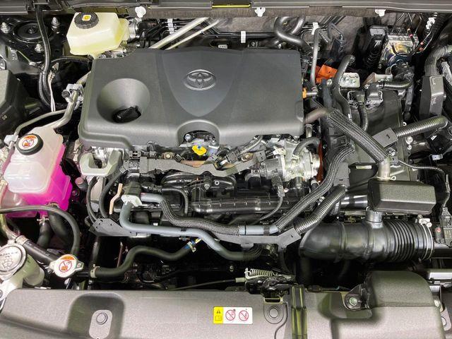 ＲＡＶ４（新潟県長岡市）画像18