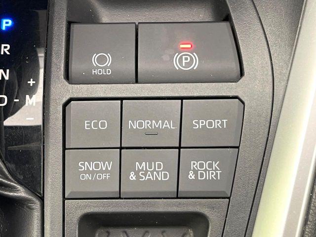 ＲＡＶ４（新潟県新潟市東区）