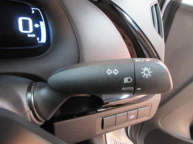 アクア（新潟県新潟市南区）画像27