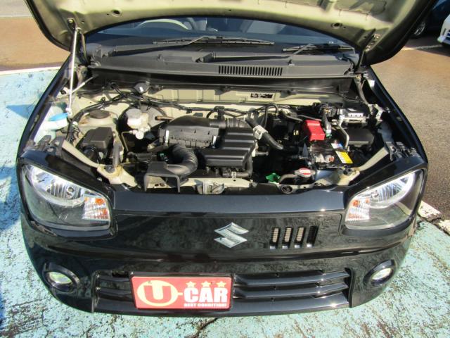 アルト（新潟県糸魚川市）画像20