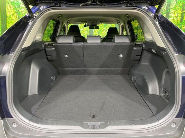 ＲＡＶ４（新潟県長岡市）