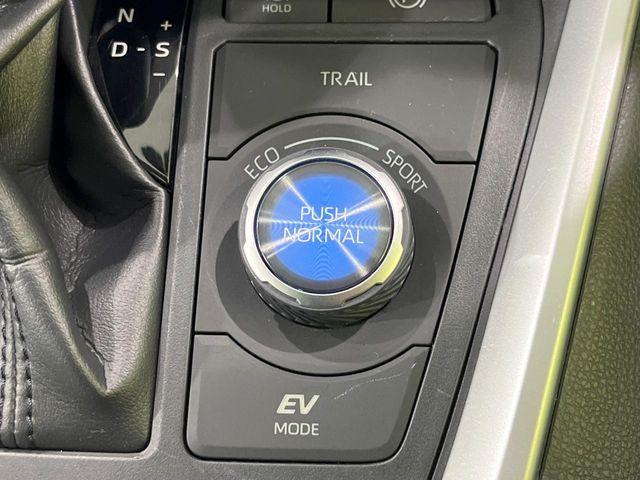 ＲＡＶ４（新潟県長岡市）