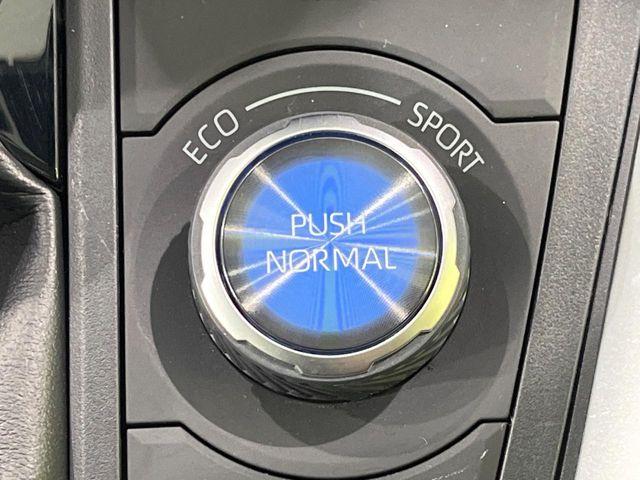 ＲＡＶ４（新潟県長岡市）