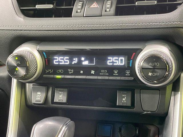 ＲＡＶ４（新潟県長岡市）