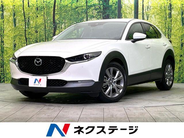 ＣＸ－３０（新潟県新潟市東区）