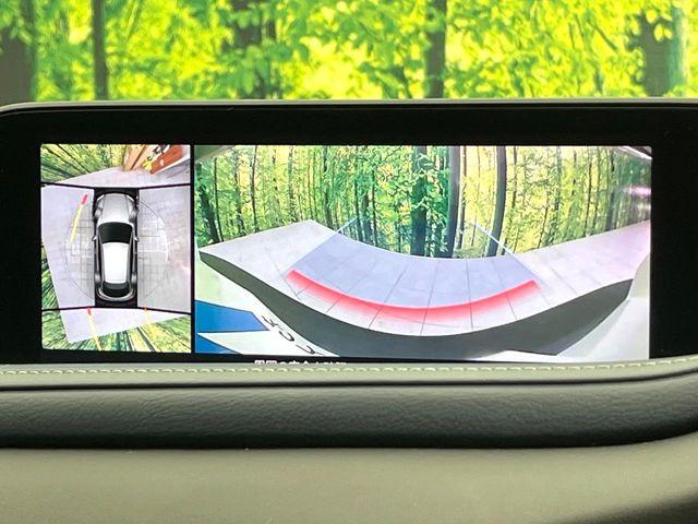 ＣＸ－３０（新潟県新潟市東区）画像4