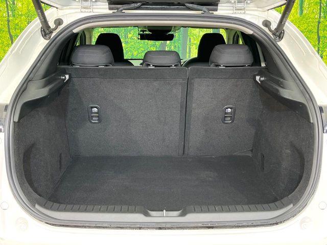 ＣＸ－３０（新潟県新潟市東区）画像10