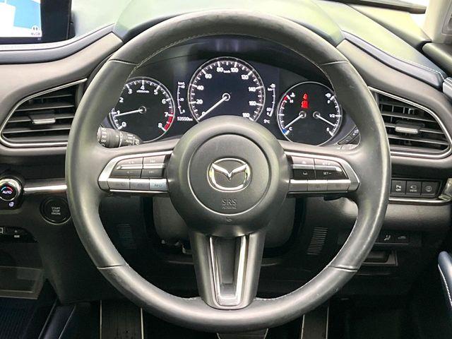 ＣＸ－３０（新潟県新潟市東区）画像11