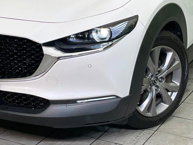 ＣＸ－３０（新潟県新潟市東区）画像12