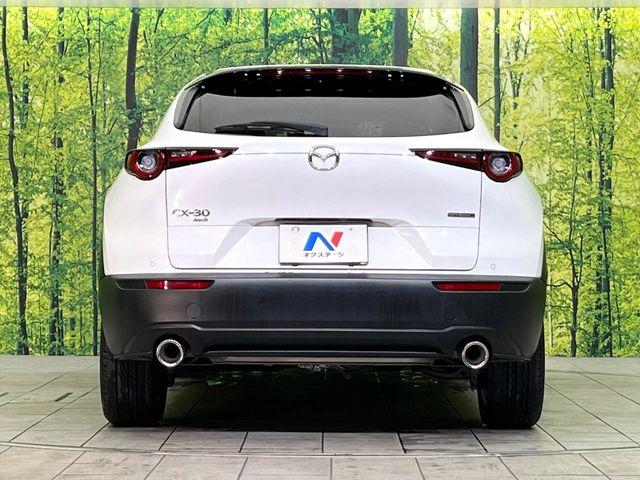 ＣＸ－３０（新潟県新潟市東区）画像15