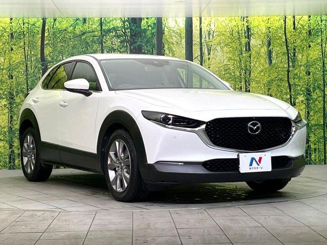 ＣＸ－３０（新潟県新潟市東区）画像16