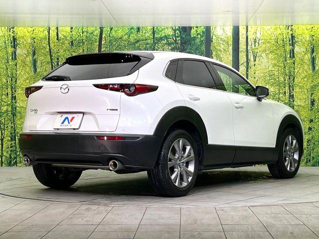 ＣＸ－３０（新潟県新潟市東区）画像17
