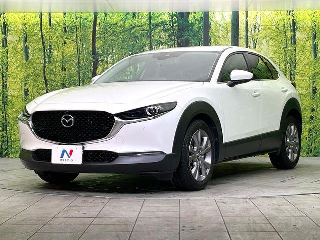 ＣＸ－３０（新潟県新潟市東区）画像66