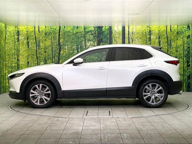 ＣＸ－３０（新潟県新潟市東区）画像67