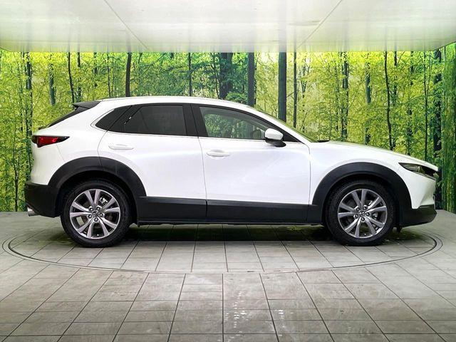 ＣＸ－３０（新潟県新潟市東区）画像69