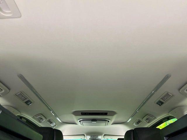 ヴェルファイア（新潟県長岡市）