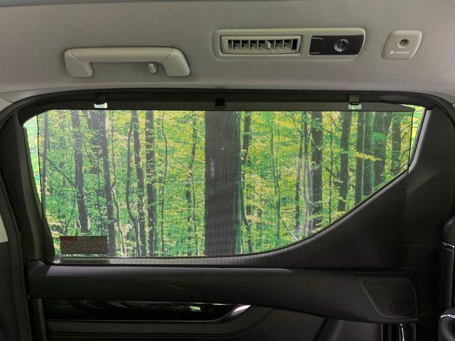 ヴェルファイア（新潟県長岡市）