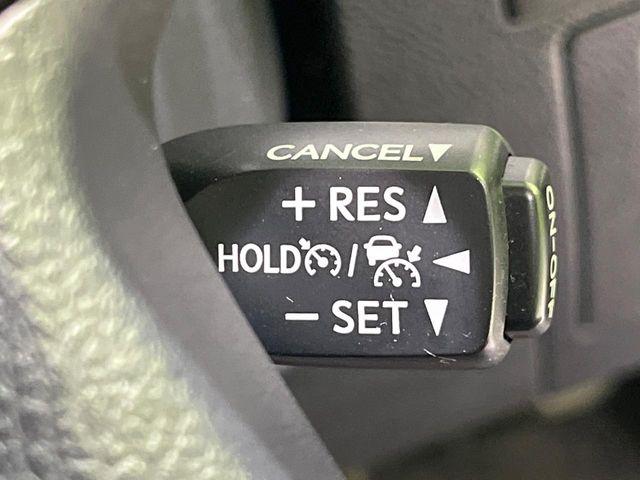 ヴェルファイア（新潟県長岡市）