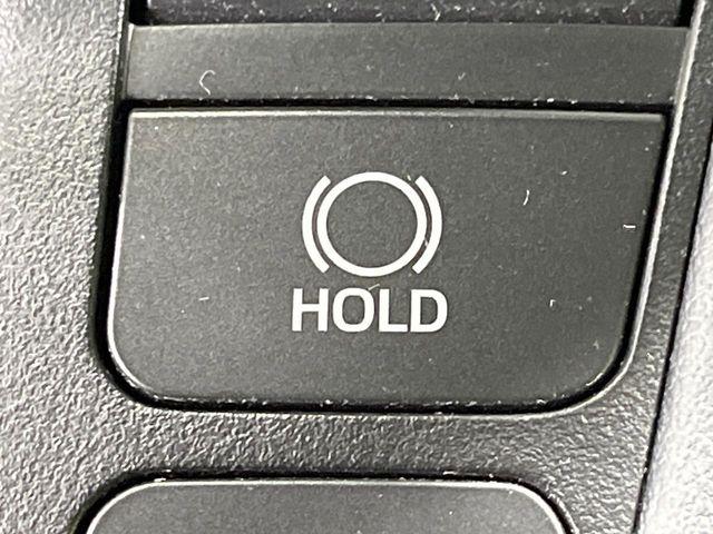 ヴェルファイア（新潟県長岡市）