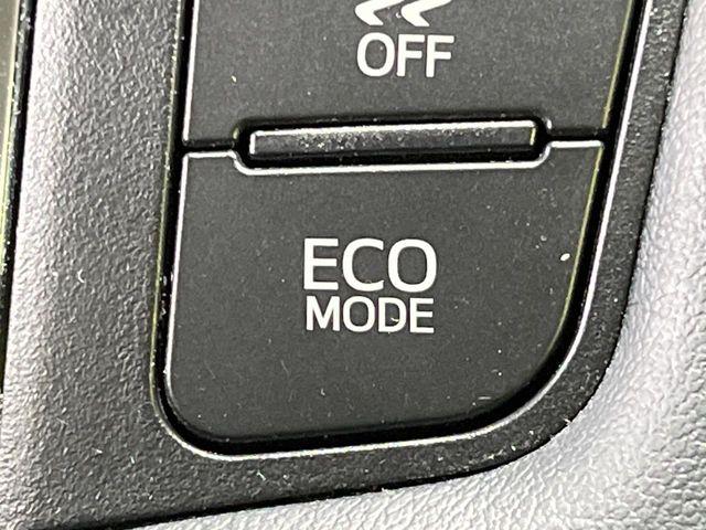 ヴェルファイア（新潟県長岡市）