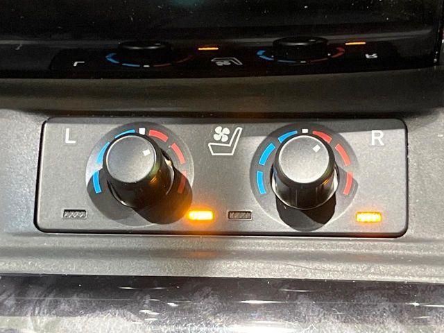 ヴェルファイア（新潟県長岡市）