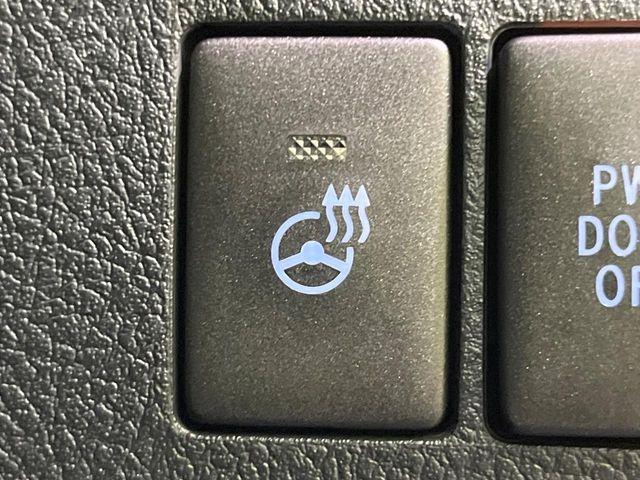 ヴェルファイア（新潟県長岡市）